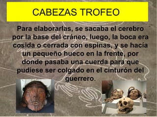 CABEZAS TROFEO
Para elaborarlas, se sacaba el cerebro
por la base del cráneo, luego, la boca era
cosida o cerrada con espinas, y se hacía
un pequeño hueco en la frente, por
donde pasaba una cuerda para que
pudiese ser colgado en el cinturón del
guerrero.

 