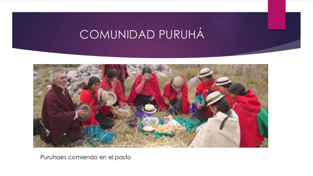 La cultura puruhá