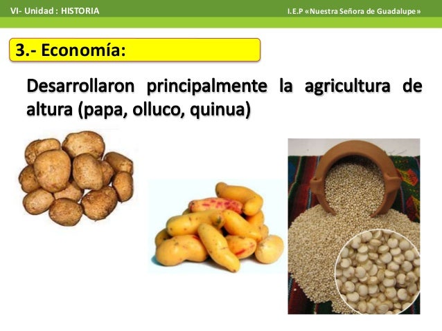 Resultado de imagem para economia de los tiahuanacos