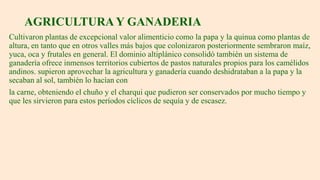 AGRICULTURA Y GANADERIA
Cultivaron plantas de excepcional valor alimenticio como la papa y la quinua como plantas de
altura, en tanto que en otros valles más bajos que colonizaron posteriormente sembraron maíz,
yuca, oca y frutales en general. El dominio altiplánico consolidó también un sistema de
ganadería ofrece inmensos territorios cubiertos de pastos naturales propios para los camélidos
andinos. supieron aprovechar la agricultura y ganadería cuando deshidrataban a la papa y la
secaban al sol, también lo hacían con
la carne, obteniendo el chuño y el charqui que pudieron ser conservados por mucho tiempo y
que les sirvieron para estos períodos cíclicos de sequía y de escasez.
 