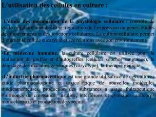L’utilisation des cellules en culture :

-L’étude des mécanismes de la physiologie cellulaire : contrôle de
cycle cellulaire, métabolisme, régulation de l’expression du gènes, études
des mouvements et des jonctions cellulaires. La culture cellulaire permet
d’étudier la cellule eucaryote et ses relations avec son environnement.

-En médecine humaine, la culture cellulaire est utilisée pour la
réalisation de greffes et d’autogreffes (cellules souches sanguines), le
dépistage des maladies génétiques (caryotype), la thérapie génique.

-L’industrie pharmaceutique est une grande utilisatrice de ces culture :
étude pharmacologique et toxicologique de nouvelles molécules
médicamenteuses, production des substances a usage thérapeutique
(hormones de croissance, insuline, interférons et cytokines, anticorps
monoclonaux) et production de vaccins.
 