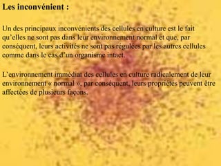 Les inconvénient :

Un des principaux inconvénients des cellules en culture est le fait
qu’elles ne sont pas dans leur environnement normal et que, par
conséquent, leurs activités ne sont pas régulées par les autres cellules
comme dans le cas d’un organisme intact.

L’environnement immédiat des cellules en culture radicalement de leur
environnement « normal », par conséquent, leurs propriétés peuvent être
affectées de plusieurs façons.
 