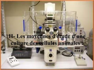 II- Les moyennes d’étude d’une
 culture des cellules animales :
 