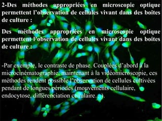 2-Des méthodes appropriées en microscopie optique
permettent l’observation de cellules vivant dans des boites
de culture :
Des méthodes appropriées en microscopie optique
permettent l’observation de cellules vivant dans des boites
de culture :


-Par exemple, le contraste de phase. Couplées d’abord à la
microcinématographie, maintenant à la vidéomicroscopie, ces
méthodes rendent possible l’observation de cellules cultivées
pendant de longues périodes (mouvements cellulaire,
endocytose, différenciation cellulaire…).
 