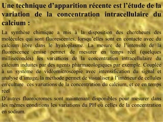 Une technique d’apparition récente est l’étude de la
variation de la concentration intracellulaire du
calcium :
La synthèse chimique a mis à la disposition des chercheurs des
molécules qui sont fluorescentes, lorsqu’elles sont en contacte avec du
calcium libre dans le hyaloplasme. La mesure de l’intensité de la
fluorescence émise permet de mesurer en temps réel (quelques
millisecondes) les variations de la concentration intracellulaire du
calcium induites par des agents pharmacologiques par exemple. Couplée
à un système de vidéomicroscopie avec intensification du signal et
analyse d’image, la méthode permet de visualiser à l’intérieur de cellules
en culture ces variations de la concentration du calcium, et ce en temps
réel
D’autres fluorocromes sont maintenant disponibles pour mesurer dans
les mêmes conditions les variations du PH ou celles de la concentration
en sodium.
 