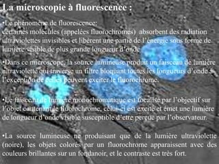 La microscopie à fluorescence :
•Le phénomène de fluorescence:
certaines molécules (appelées fluorochromes) absorbent des radiation
ultraviolettes invisibles et libèrent une partie de l’énergie sous forme de
lumière visible de plus grande longueur d’onde
•Dans ce microscope, la source lumineuse produit un faisceau de lumière
ultraviolette qui traverse un filtre bloquant toutes les longueurs d’onde à
l’exception de celles peuvent exciter le fluorochrome.

•Le faisceau de lumière monochromatique est focalisé par l’objectif sur
l’objet contenant le fluorochrome, celui-ci est excité et émet une lumière
de longueur d’onde visible susceptible d’etre perçue par l’observateur.

•La source lumineuse ne produisant que de la lumière ultraviolette
(noire), les objets colorés par un fluorochrome apparaissent avec des
couleurs brillantes sur un fondanoir, et le contraste est très fort.
 