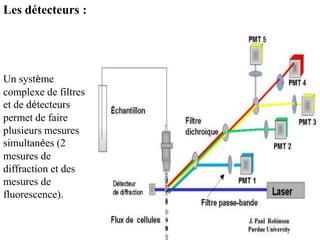 Les détecteurs :




Un système
complexe de filtres
et de détecteurs
permet de faire
plusieurs mesures
simultanées (2
mesures de
diffraction et des
mesures de
fluorescence).
 