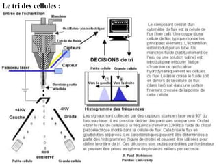 Le tri des cellules :
 