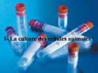 I- La culture des cellules animales :
 