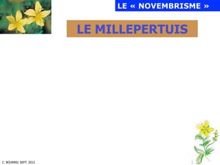 C. BOURREL SEPT. 2012
LE « NOVEMBRISME »
LE MILLEPERTUIS
 