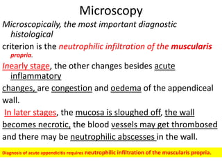 Microscopy
Microscopically, the most important diagnostic
histological
criterion is the neutrophilic infiltration of the muscularis
propria.
Inearly stage, the other changes besides acute
inflammatory
changes, are congestion and oedema of the appendiceal
wall.
In later stages, the mucosa is sloughed off, the wall
becomes necrotic, the blood vessels may get thrombosed
and there may be neutrophilic abscesses in the wall.
Diagnosis of acute appendicitis requires neutrophilic infiltration of the muscularis propria.
 