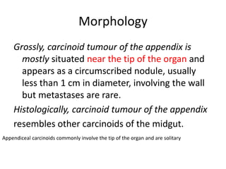 Morphology
Grossly, carcinoid tumour of the appendix is
mostly situated near the tip of the organ and
appears as a circumscribed nodule, usually
less than 1 cm in diameter, involving the wall
but metastases are rare.
Histologically, carcinoid tumour of the appendix
resembles other carcinoids of the midgut.
Appendiceal carcinoids commonly involve the tip of the organ and are solitary
 