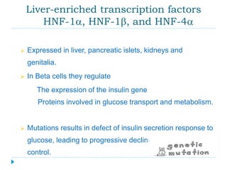 Liver-enriched transcription factors 
HNF-1a, HNF-1b, and HNF-4a 
 Expressed in liver, pancreatic islets, kidneys and 
genitalia. 
 In Beta cells they regulate 
The expression of the insulin gene 
Proteins involved in glucose transport and metabolism. 
 Mutations results in defect of insulin secretion response to 
glucose, leading to progressive decline in glycemic 
control. 
 