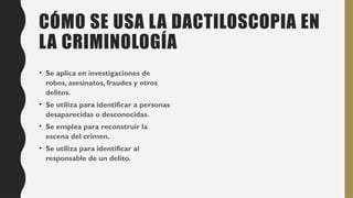 CÓMO SE USA LA DACTILOSCOPIA EN
LA CRIMINOLOGÍA
• Se aplica en investigaciones de
robos, asesinatos, fraudes y otros
delitos.
• Se utiliza para identificar a personas
desaparecidas o desconocidas.
• Se emplea para reconstruir la
escena del crimen.
• Se utiliza para identificar al
responsable de un delito.
 