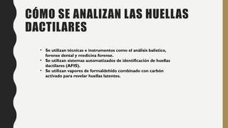 CÓMO SE ANALIZAN LAS HUELLAS
DACTILARES
• Se utilizan técnicas e instrumentos como el análisis balístico,
forense dental y medicina forense.
• Se utilizan sistemas automatizados de identificación de huellas
dactilares (AFIS).
• Se utilizan vapores de formaldehido combinado con carbón
activado para revelar huellas latentes.
 