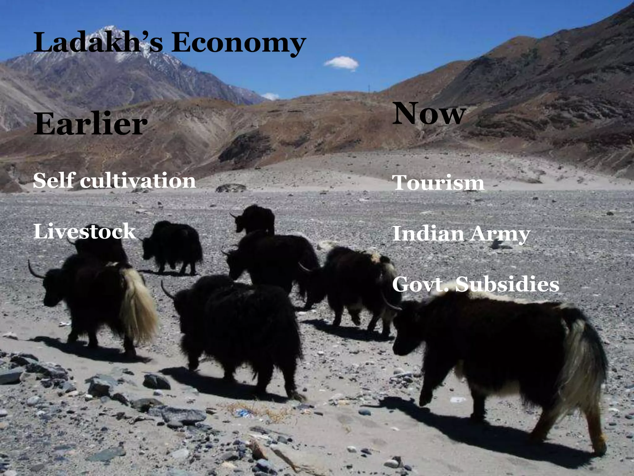 Ladakh’s Economy
Earlier
Self cultivation
Livestock
Now
Tourism
Indian Army
Govt. Subsidies
 