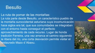 Besullo 
La ruta de pomar de las montañas: 
La ruta parte desde Besullo, un característico pueblo de 
la montaña suroccidental asturiana cuya incomunicación 
hace siglos era tal, que sus comunidades se integraban 
con el entorno hasta conseguir el perfecto 
aprovechamiento de cada recurso. Lugar de honda 
tradición Ferreira, una vez arranca el camino siguiendo 
la ribera del río, una corta desviación permite visitar el 
restaurado Mazo d´Abaxu. 
 