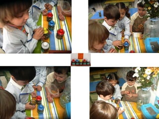 La dança de les papallones