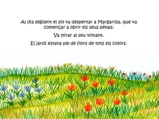 Al dia següent el sol va despertar a Margarida, que va
           començar a obrir els seus pètals.
               Va mirar al seu voltant.
    El jardí estava ple de flors de tots els colors.
 