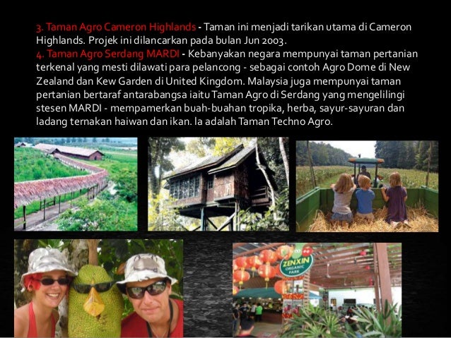 Ladang buah buahan moden