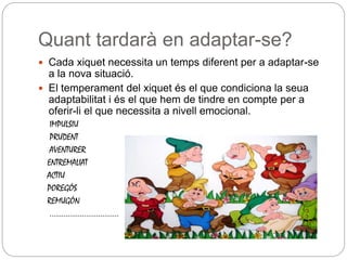 Quant tardarà en adaptar-se?
 Cada xiquet necessita un temps diferent per a adaptar-se
a la nova situació.
 El temperament del xiquet és el que condiciona la seua
adaptabilitat i és el que hem de tindre en compte per a
oferir-li el que necessita a nivell emocional.
IMPULSIU
PRUDENT
AVENTURER
ENTREMALIAT
ACTIU
POREGÓS
REMUGÓN
..................................
 