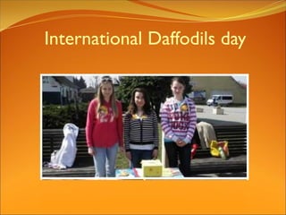 International Daffodils day
 