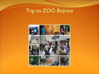Trip to ZOO Bojnice
 