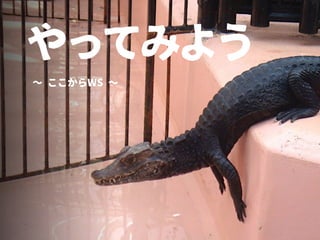 やってみよう
∼ ここからWS ∼
 