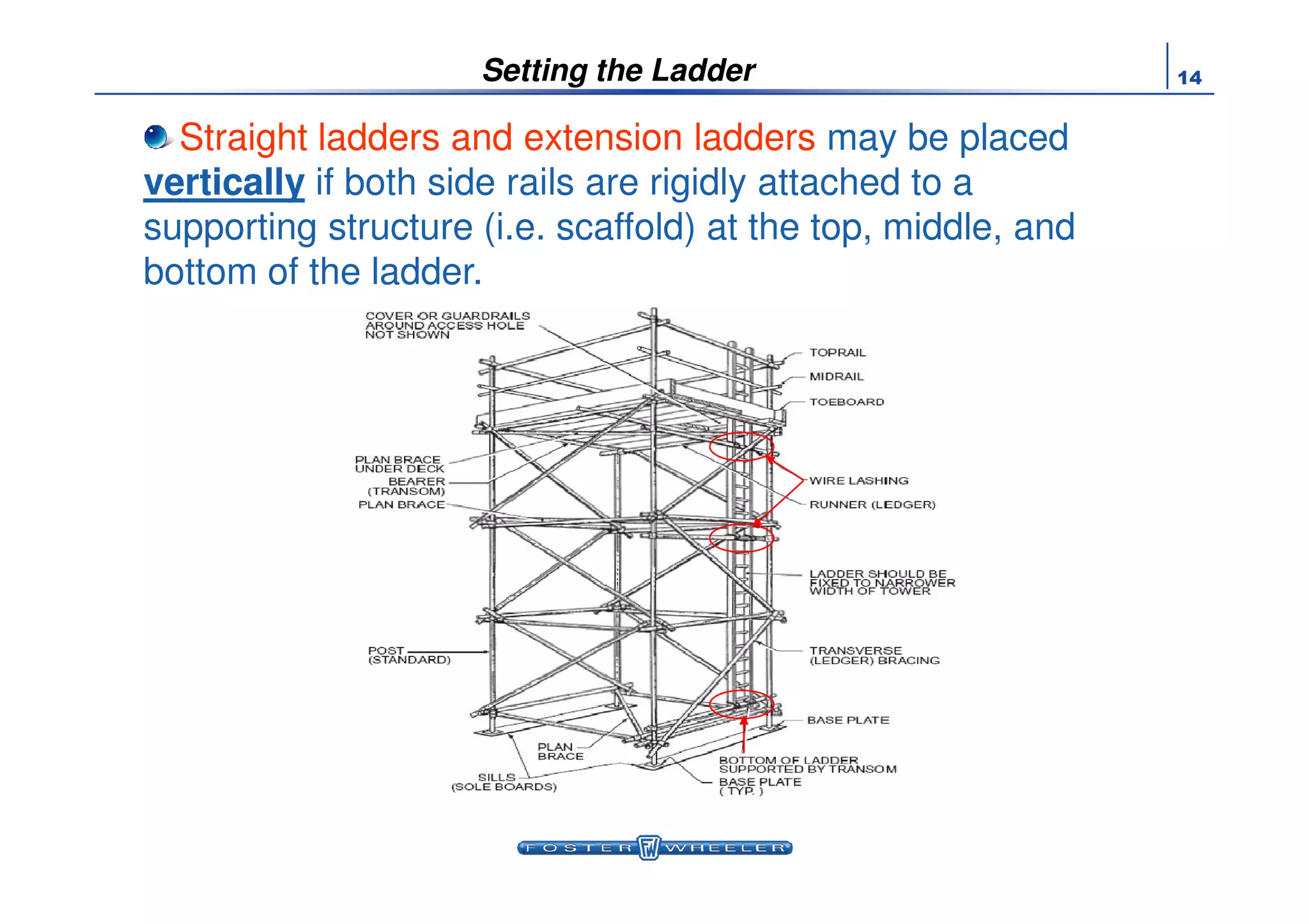 14
Straight ladders and extension ladders may be placed
verticallyvertically if both side rails are rigidly attached to a
supporting structure (i.e. scaffold) at the top, middle, and
bottom of the ladder.
Setting the Ladder
 