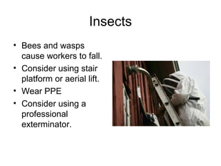Insects
• Bees and wasps
cause workers to fall.
• Consider using stair
platform or aerial lift.
• Wear PPE
• Consider using a
professional
exterminator.
 