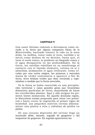 CAPITULO V

Una suave llovizna comenzó a derramarse como en-
viada a la tierra por alguna compasiva Diosa de la
Misericordia, haciendo renacer la vida en la zona
árida. La mollina, tenue como el rocío, vacilaba y se
mecía como dudosa de su destino, hasta que, al
tocar el suelo reseco, se producía un lánguido rumor y
el agua desaparecía en las profundidades. En la
tierra, las raicillas rebullían en su semiletargo al
contacto con el líquido elemento, volvían en sí y
absorbían ávidamente el agua vivificante. Como to-
cadas por una varita mágica, las primeras y menudas
matas de verdor comenzaron a aparecer a flor de
tierra, leves briznas verdes que iban creciendo y espe-
sándose a medida que la lluvia arreciaba.
   Ya la lluvia se había convertido en una precipita-
ción torrencial y caían grandes gotas que levantaban
diminutas partículas de tierra, manchando de barro
las reverdecidas plantas. Aquí y allá surgían los pri-
meros brotes minúsculos. En aquella desolada región,
la Naturaleza estaba preparada para obrar con pronti-
tud y hacer crecer la vegetación al primer signo de
humedad. Los pequeños insectos corrían afanosa-
mente una planta a otra y saltaban de piedra en
piedra.
   De una cercana depresión del terreno llegó un
murmullo débil, extraño, seguido de gorgoteos y del
traquetear de guijarros. En seguida aparecieron las

                    87
 