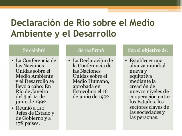 La declaración de río y la agenda 21