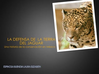LA DEFENSA DE  LA TIERRA DEL JAGUAR Una historia de la conservación en México  ESPINOSA BUENDIA LAURA ELIZABETH 