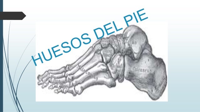 Dolor de pie - ¿Qué puede ser? Diagnósticos posibles Dolor de pie - ¿Qué puede ser? Diagnósticos posibles