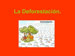La Deforestación. 