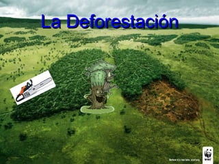 La Deforestación 