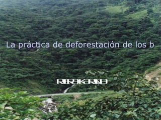La práctica de deforestación de los bos



            R R KR A
             I A AI
             E    N
 