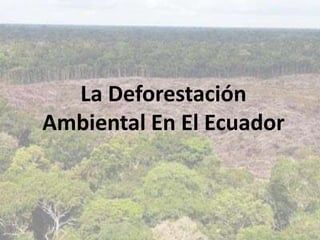 La Deforestación
Ambiental En El Ecuador
 