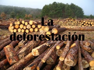La deforestación 