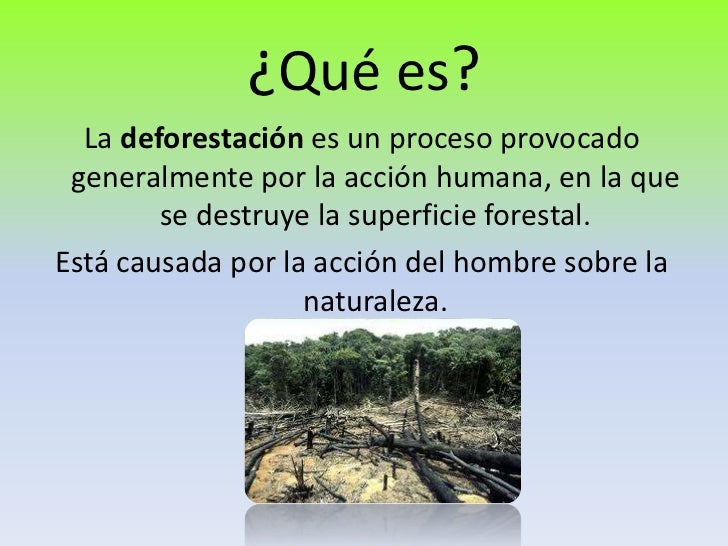 La deforestación