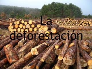 La
deforestación
 