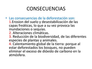 CONSECUENCIAS
• Las consecuencias de la deforestación son:
1.Erosion del suelo y desestabilización de las
capas freáticas, lo que a su vez provoca las
inundaciones o sequías.
2. Alteraciones climáticas.
3. Reducción de la biodiversidad, de las diferentes
especies de plantas y animales.
4. Calentamiento global de la tierra: porque al
estar deforestados los bosques, no pueden
eliminar el exceso de dióxido de carbono en la
atmósfera.
 