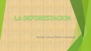 Michell Lorena Patiño Castañeda
 