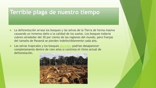 Terrible plaga de nuestro tiempo
 La deforestación arrasa los bosques y las selvas de la Tierra de forma masiva
causando un inmenso daño a la calidad de los suelos. Los bosques todavía
cubren alrededor del 30 por ciento de las regiones del mundo, pero franjas
del tamaño de Panamá se pierden indefectiblemente cada año.
 Las selvas tropicales y los bosques pluviales podrían desaparecer
completamente dentro de cien años si continúa el ritmo actual de
deforestación.
 