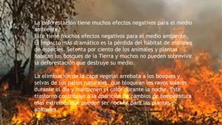 La deforestación tiene muchos efectos negativos para el medio
ambiente.
Este tiene muchos efectos negativos para el medio ambiente.
El impacto más dramático es la pérdida del hábitat de millones
de especies. Setenta por ciento de los animales y plantas
habitan los bosques de la Tierra y muchos no pueden sobrevivir
la deforestación que destruye su medio.
La eliminación de la capa vegetal arrebata a los bosques y
selvas de sus palios naturales, que bloquean los rayos solares
durante el día y mantienen el calor durante la noche. Este
trastorno contribuye a la aparición de cambios de temperatura
más extremos que pueden ser nocivos para las plantas y
animales.
 