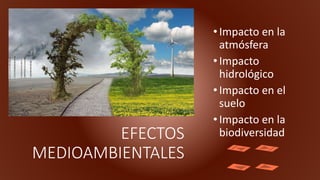 EFECTOS
MEDIOAMBIENTALES
•Impacto en la
atmósfera
•Impacto
hidrológico
•Impacto en el
suelo
•Impacto en la
biodiversidad
 