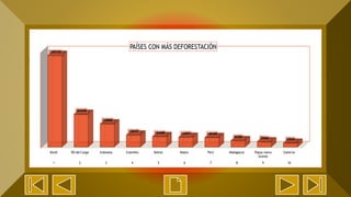 Lista Pais Porcentaje
1 Brasil 1347132
2 RD del Congo 481248
3 Indonesia 339888
4 Colombia 176977
5 Bolivia 154488
6 Malsia 144571
7 Perú 140185
8 Madagascar 94785
9 Papua nueva Guínea 77266
10 Camerún 57935
PAISES CON MAS DEFORESTACION
Brasil RD del Congo Indonesia Colombia Bolivia Malsia Perú Madagascar Papua nueva
Guínea
Camerún
1 2 3 4 5 6 7 8 9 10
1347132
481248
339888
176977 154488 144571 140185
94785 77266 57935
PAÍSES CON MÁS DEFORESTACIÓN
 