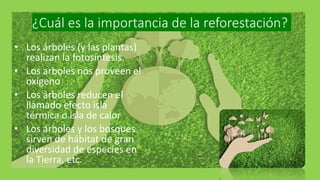 ¿Cuál es la importancia de la reforestación?
• Los árboles (y las plantas)
realizan la fotosíntesis.
• Los arboles nos proveen el
oxigeno
• Los árboles reducen el
llamado efecto isla
térmica o isla de calor
• Los árboles y los bosques
sirven de hábitat de gran
diversidad de especies en
la Tierra, etc.
 