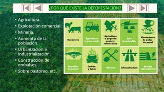 ¿POR QUÉ EXISTE LA DEFORESTACIÓN?
• Agricultura.
• Explotación comercial.
• Mineria.
• Aumento de la
población.
• Urbanización e
industrialización.
• Construcción de
embalses.
• Sobre pastoreo, etc.
https://www.visualavi.com/principales-causas-de-la-deforestacion/
 