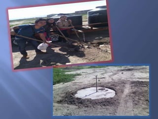 La reforestaciòn en utt